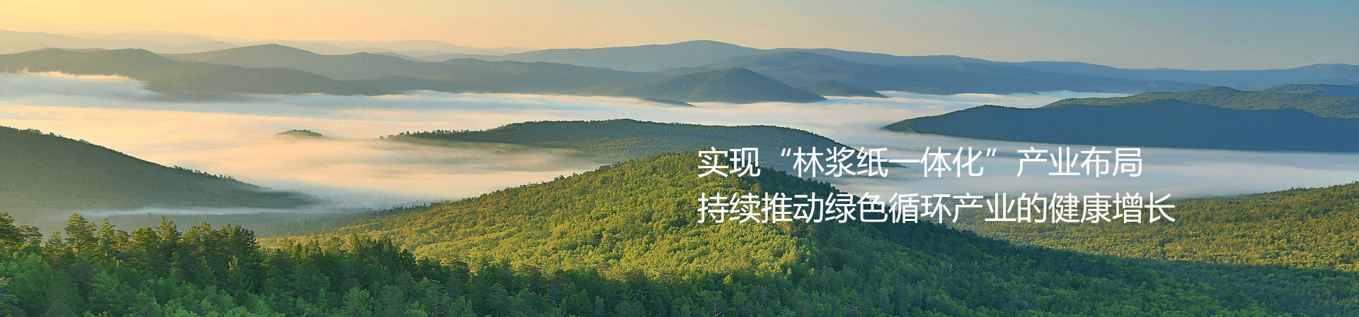 公司簡(jiǎn)介